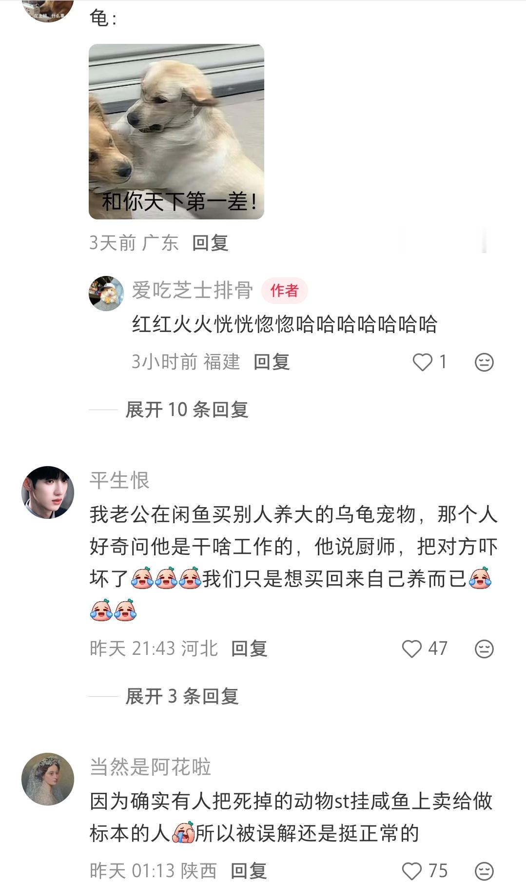 龟龟：我和你天下第一差☝️​​​