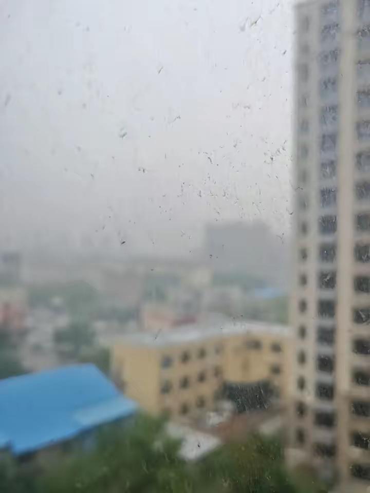 山东出了一天半的太阳，雨又来了，就这么说吧，济南都下成江南了，烟台都下成灭烟台了