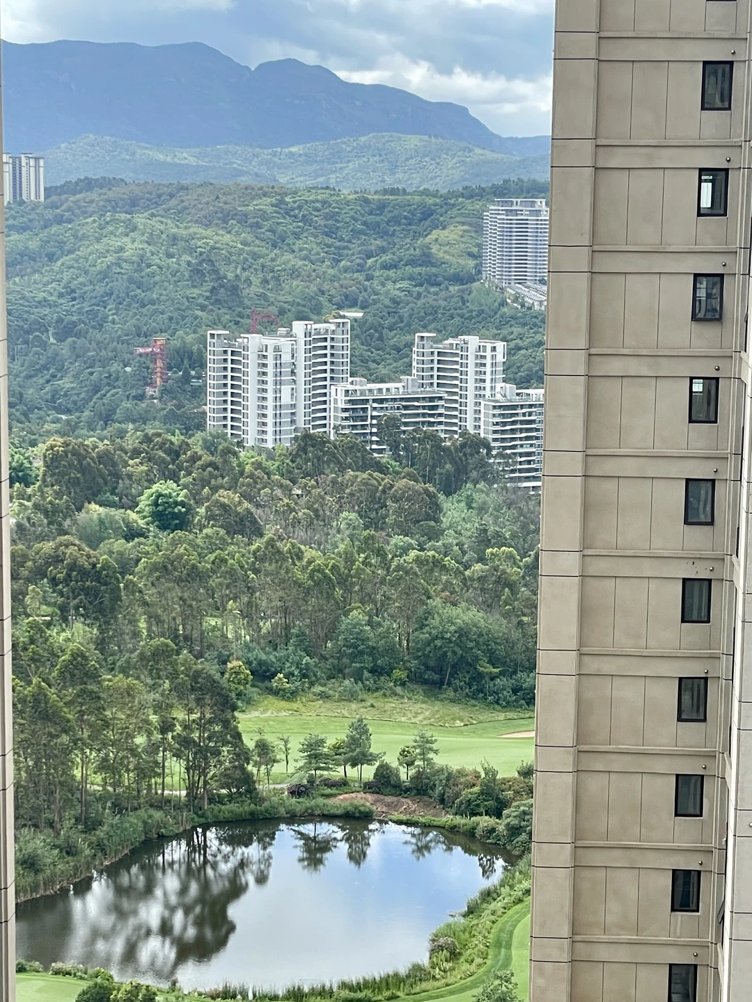这是我650块租到的房子窗外，开心！
