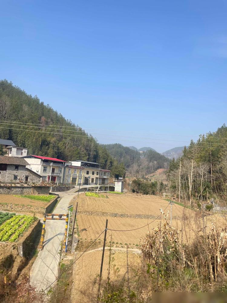 真的快要崩溃了！50岁这年突然摊上怪病，右手臂疼了一个多月，从抬不起来到连切