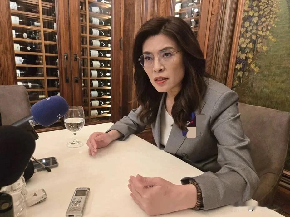 郑丽文：寻求两岸对话不意味着放弃防务能力国民党主席郑丽文12日受访表示，“