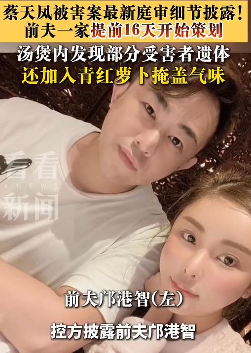 汤里有身体组织，还加青红萝卜掩盖气味？蔡天凤案庭审披露，她养了全家十年，换来了什