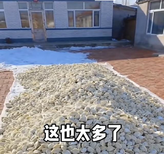 东北一老哥包饺子包太多了，案板上堆得满满当当，网友说够全村老娘们吃一冬天。他一个