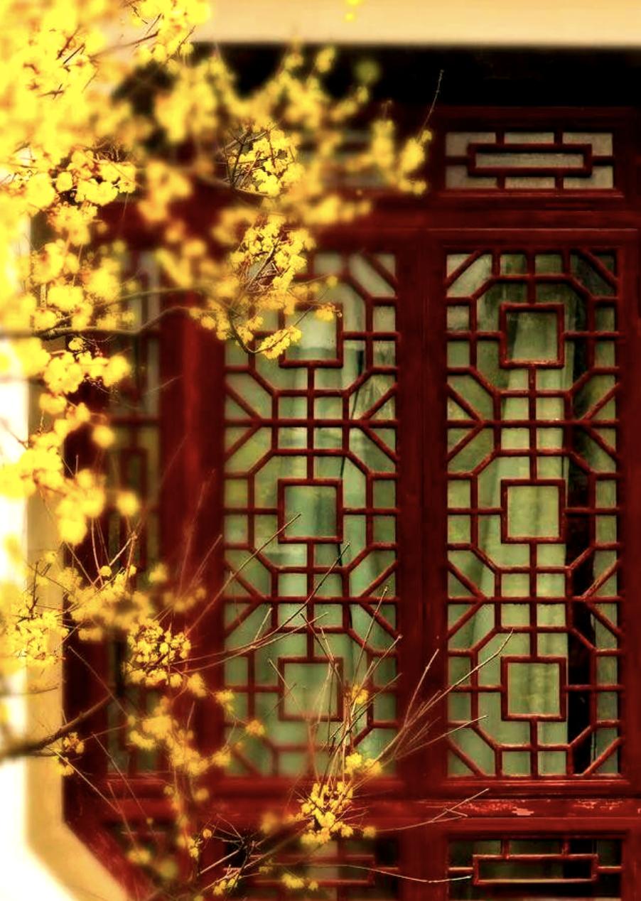 道家有个说法，叫“庙堂非净地，心正才是神”景区无人打理的野庙，古树下随意立的土