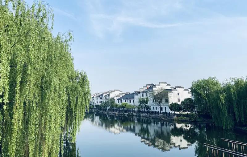 馨漪婉风所作的《美江南》堪称一绝！“满径繁花秀艳红，风梳影乱觅芳踪”，瞬间将人带