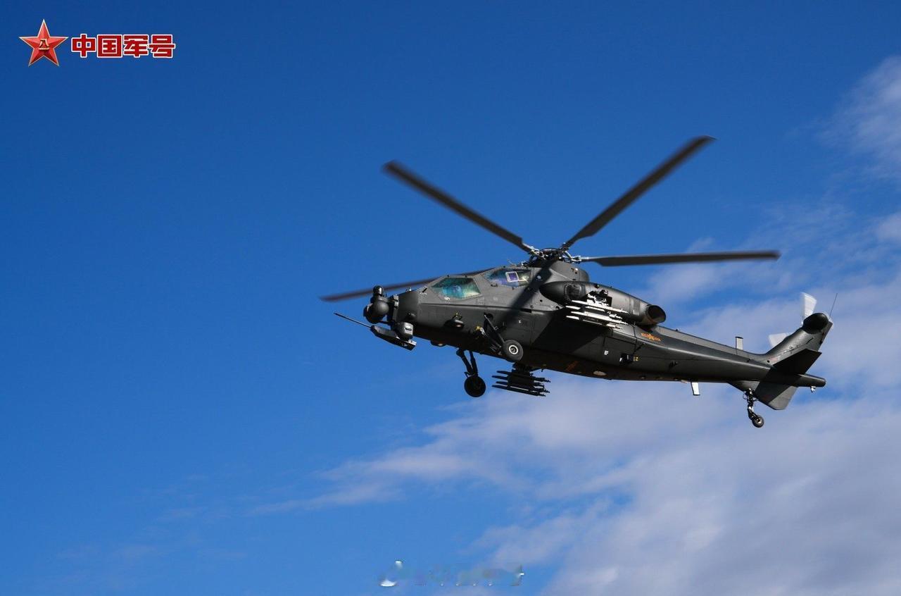 拱卫京畿的万岁军，我大陆军第82集团军，陆航旅旅组织开展多机种、跨昼夜、高强度飞