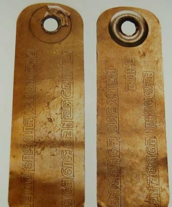 1999年，内蒙古一男子被债主追债，无路可逃时，突然想起父亲说过：有困难时，地窖