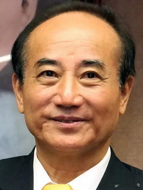 王金平提出的两岸统一方案，基本是照抄了伟人提出的解决台湾问题的方针政策，只不过是