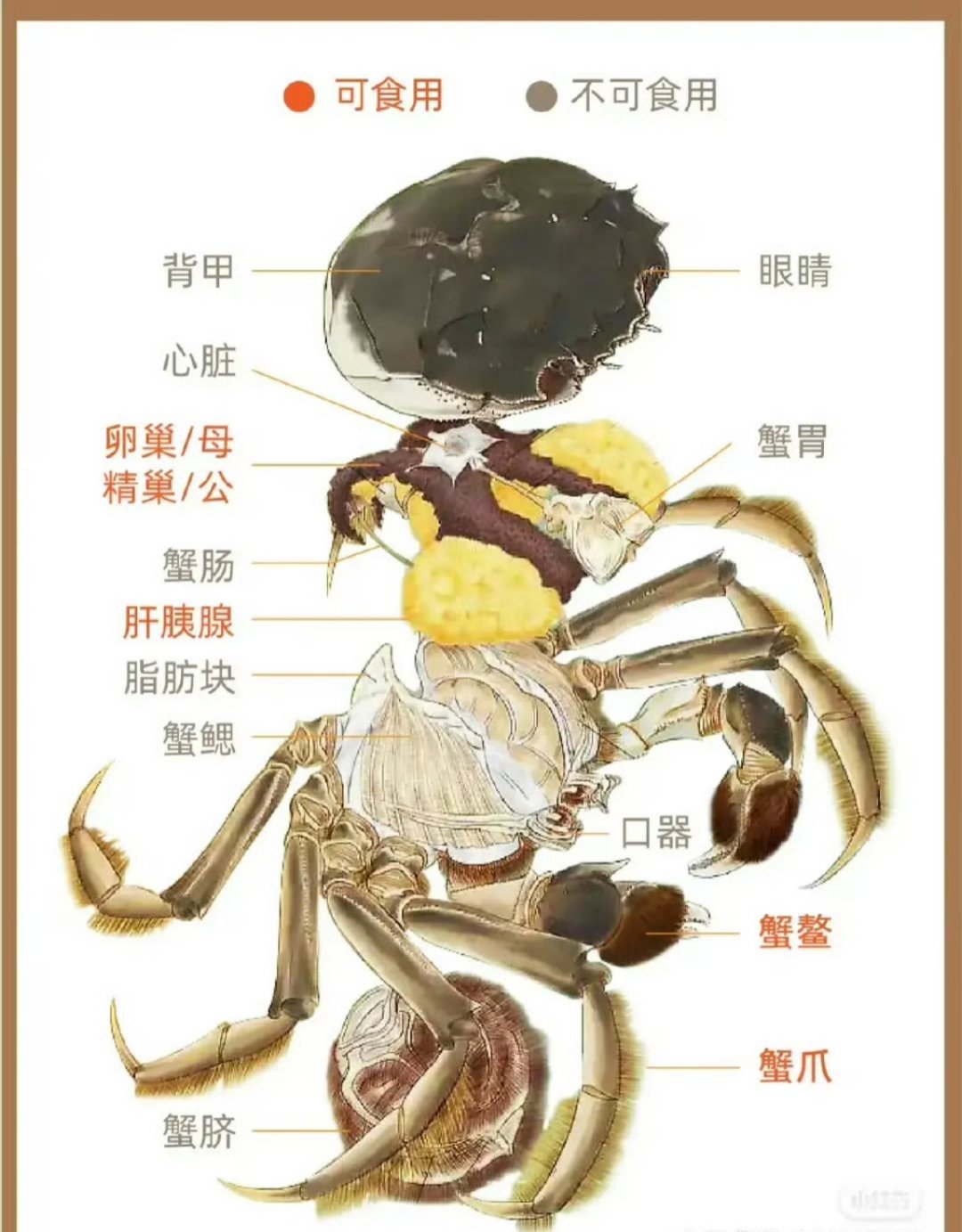 吃了寒