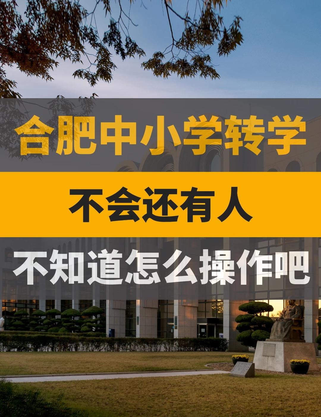 合肥中小学转学｜最新细则一次性讲清楚合肥转学条件、办理时间、必备材料，建议家长