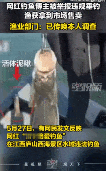 为了流量真是毫无底线！5月28日南方都市报报道，这位坐拥七百万粉丝的钓鱼女网红，