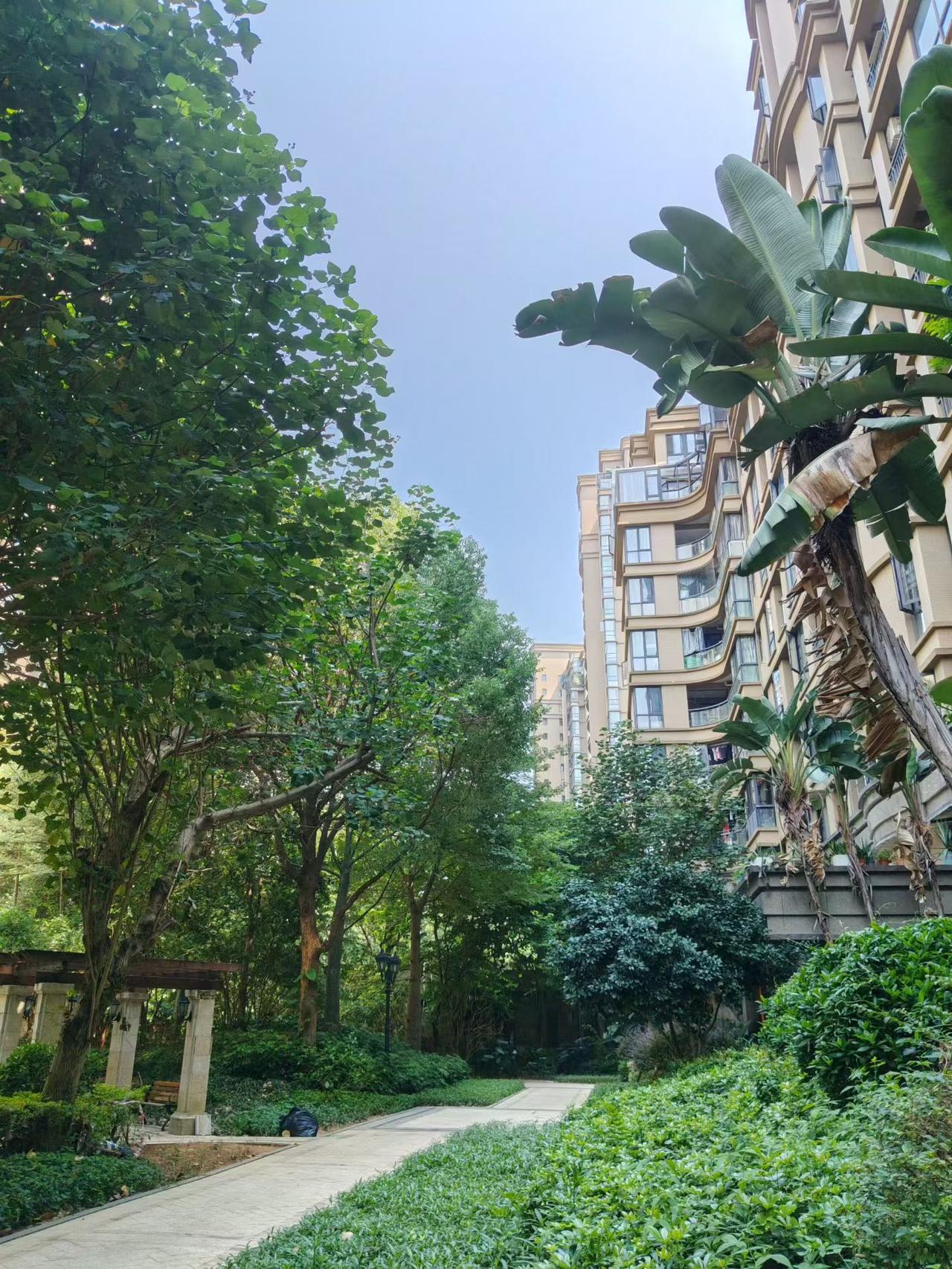 614分被福州大学临床医学专业录取，有人说学医614分这样的学霸高分怎么不报考福