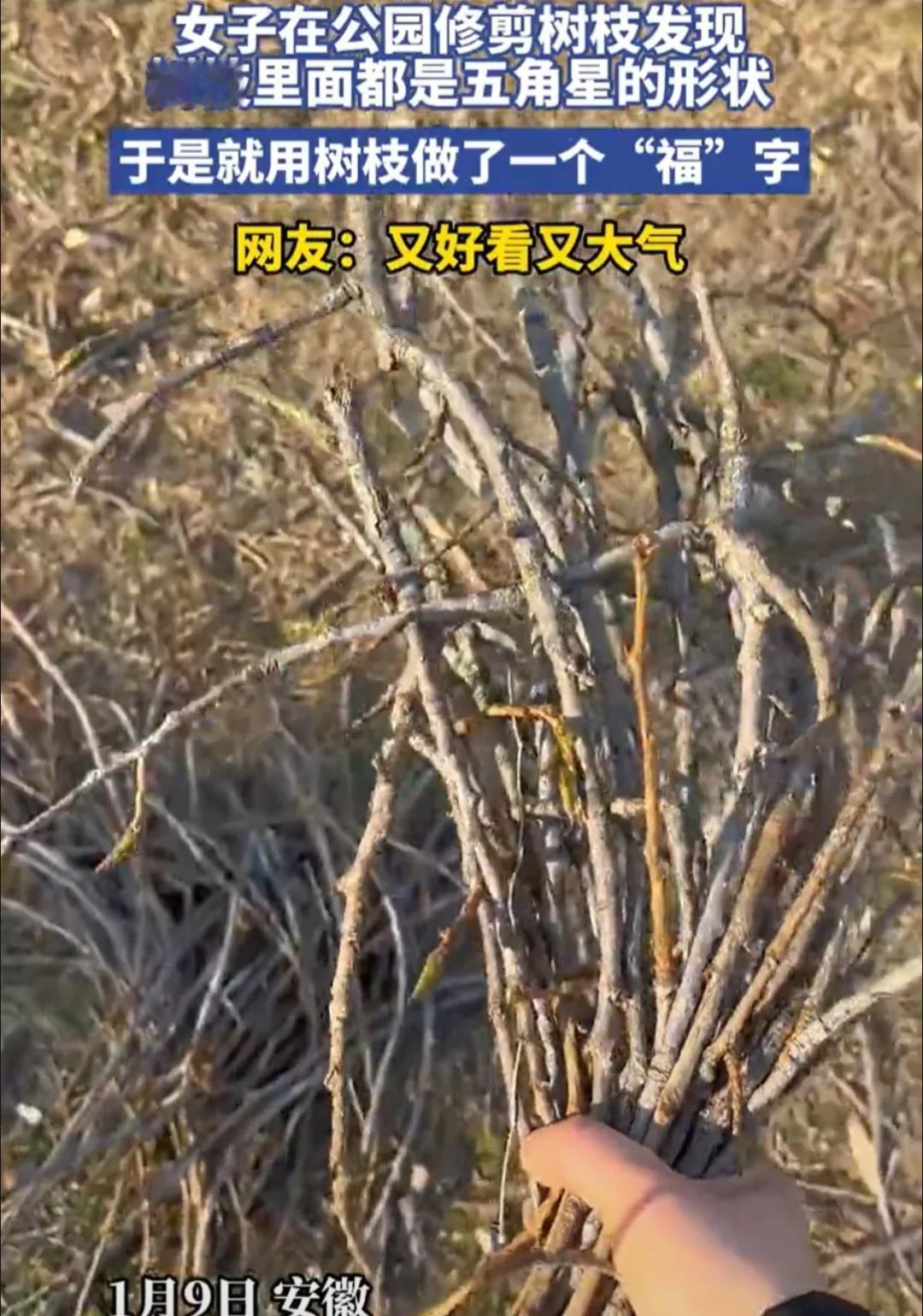 这事真的太邪门了!近日安徽一园艺师女子去公园里正常上班修剪树枝，可她剪断树枝后