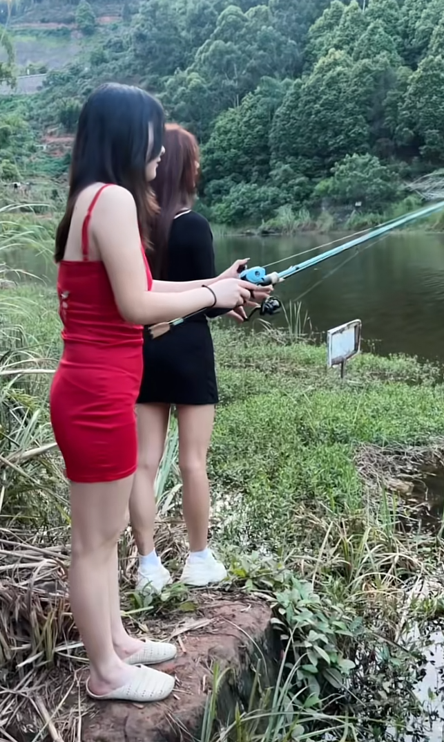 不说了，有是打龟的一天