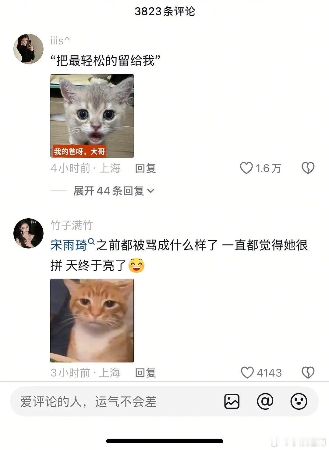 白鹿又被骂了