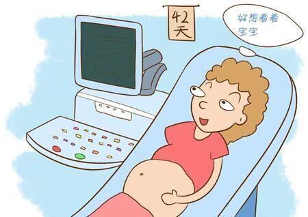 孕妈想知道肚子里的宝宝性别? 其实, B超医生已经暗示过你了!