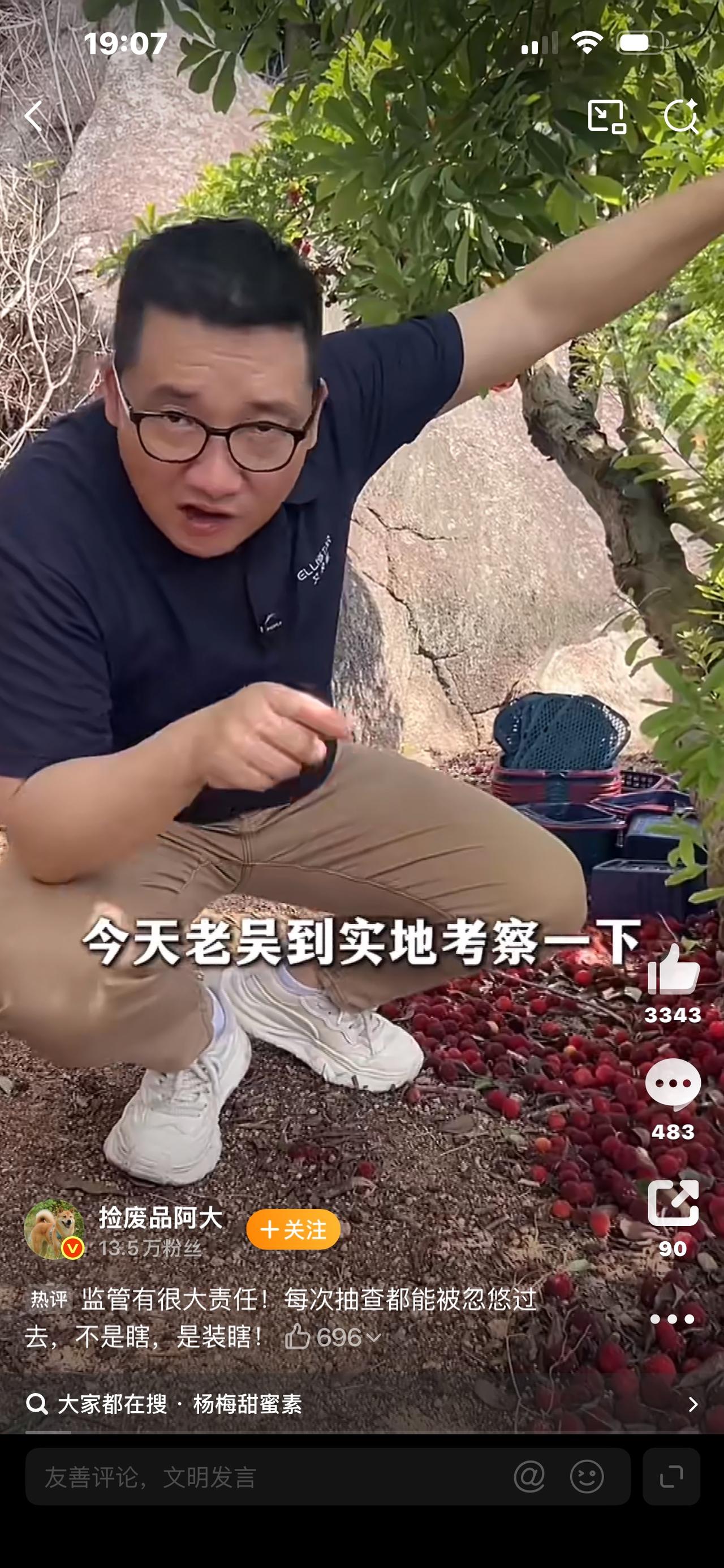 别让杨梅烂在树上！会长含泪恳求：给辛苦一年的果农留条生路吧你敢信吗？满树红彤