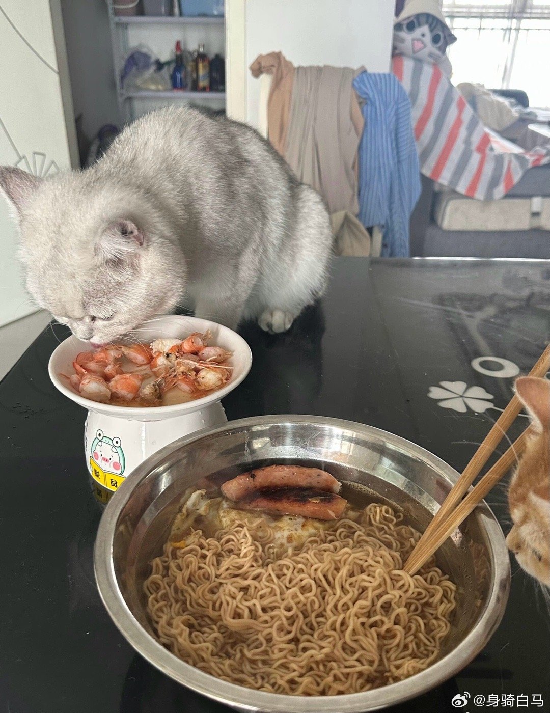 家里没钱了非要吵着吃虾超市的虾是怎么冻成这样的