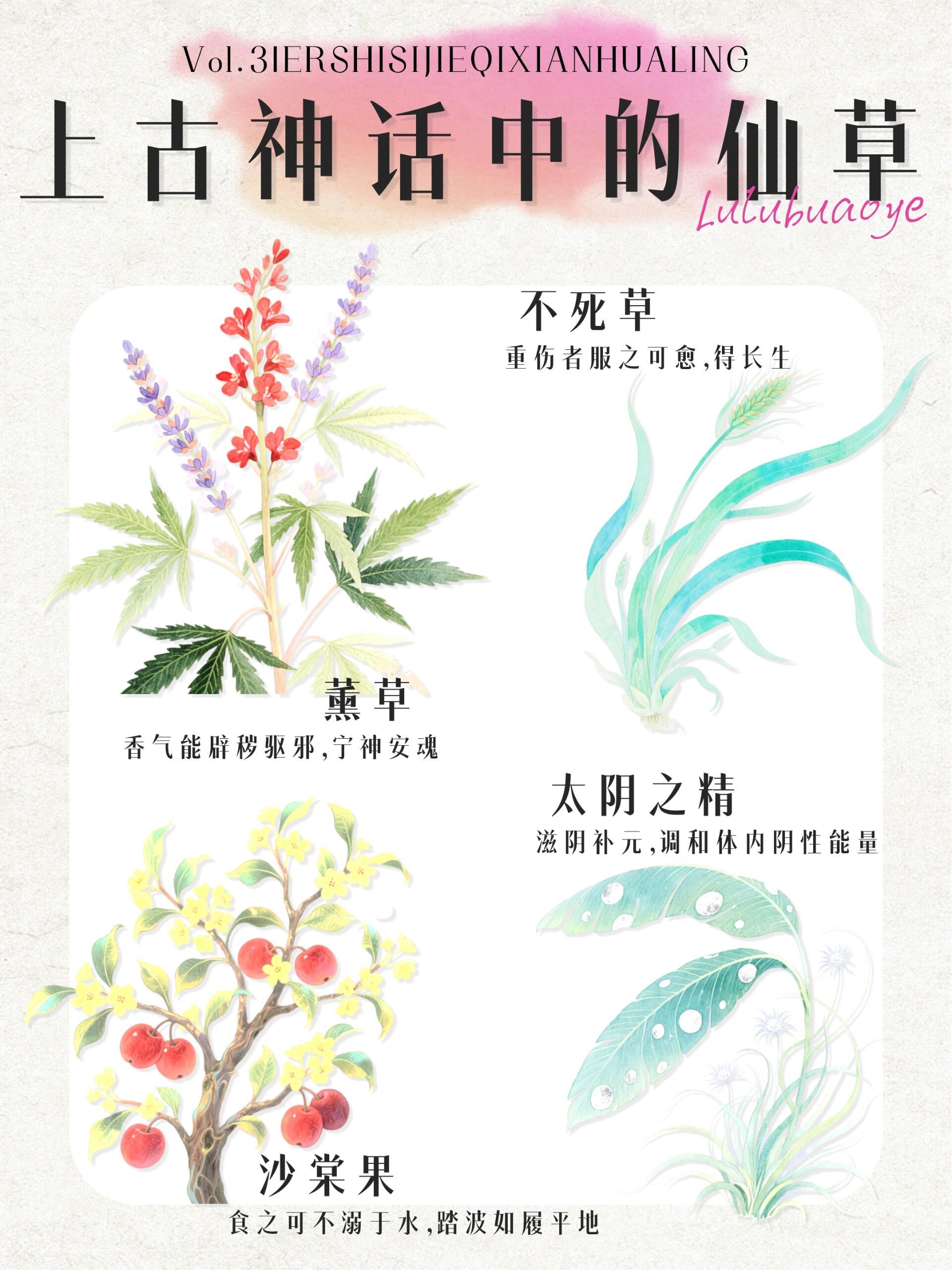 🌿老祖宗的脑洞有多大？上古神话中的仙草