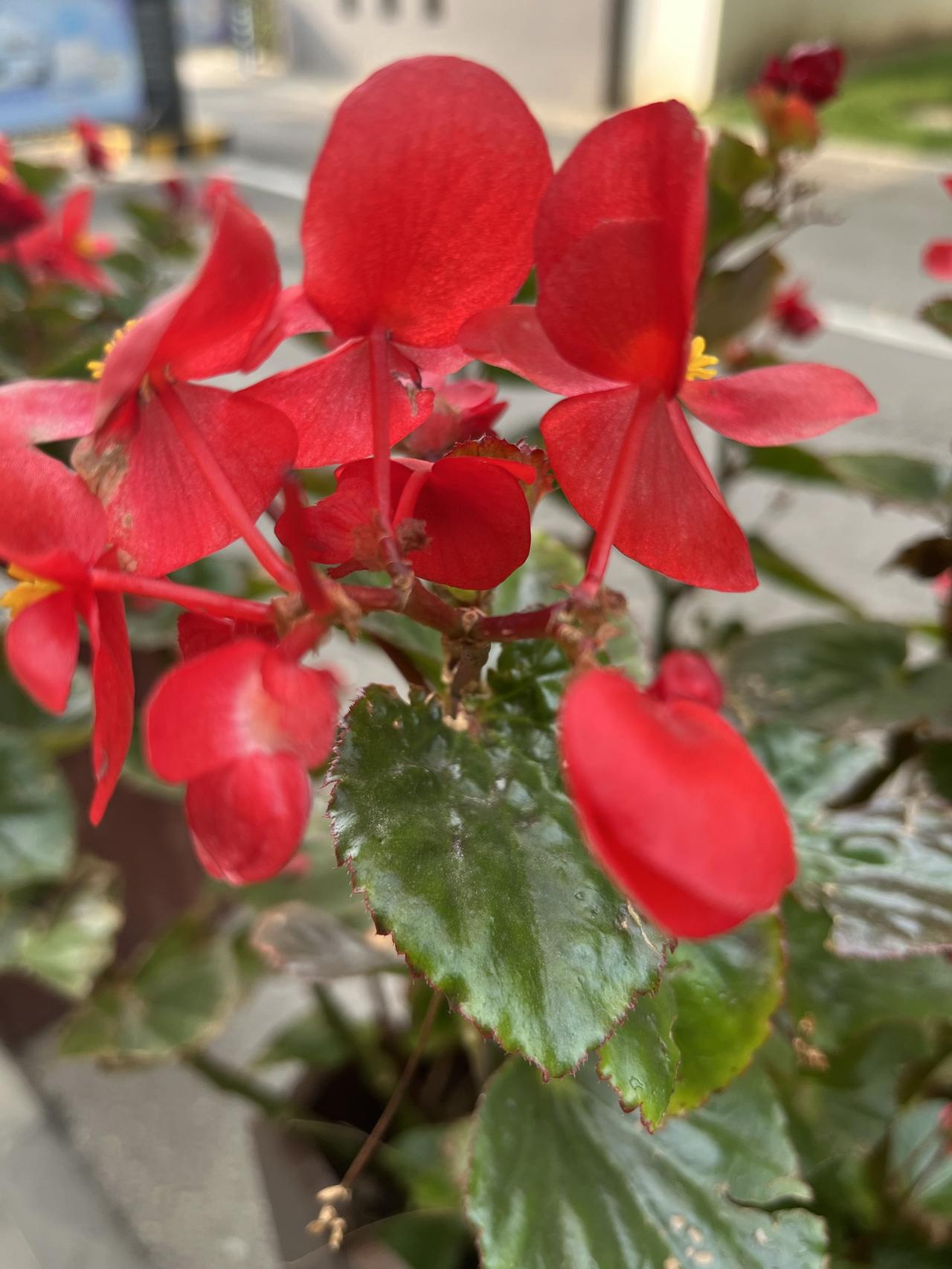 悄悄告诉你当前二手房市场隐藏的几个真相（25）1、核心区优质房源降价的越来越