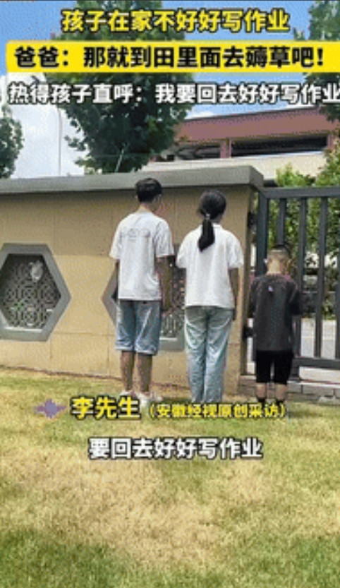 “这下后悔了吧！”安徽阜阳，一男子因孩子在家不好好写作业，将其带到田里薅草，不料