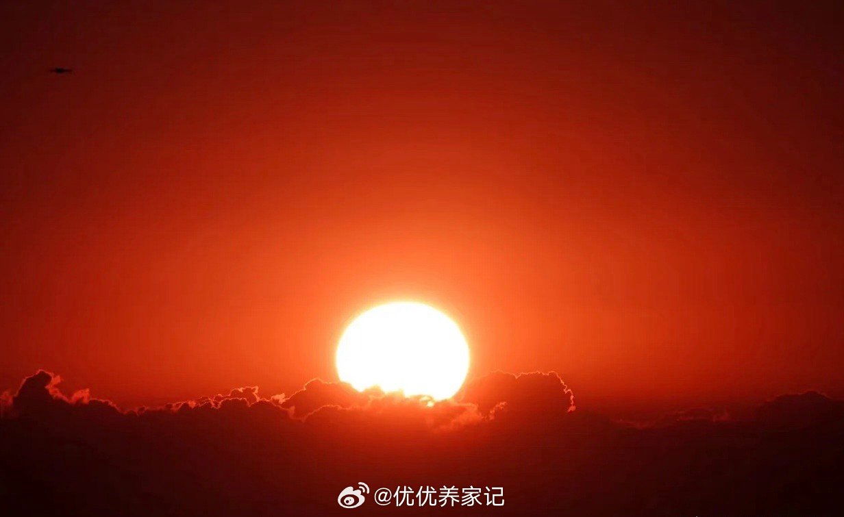 【盘口分析——难改震荡格局！】在今日的股市行情中，早盘的表现无疑是市场的一个重要