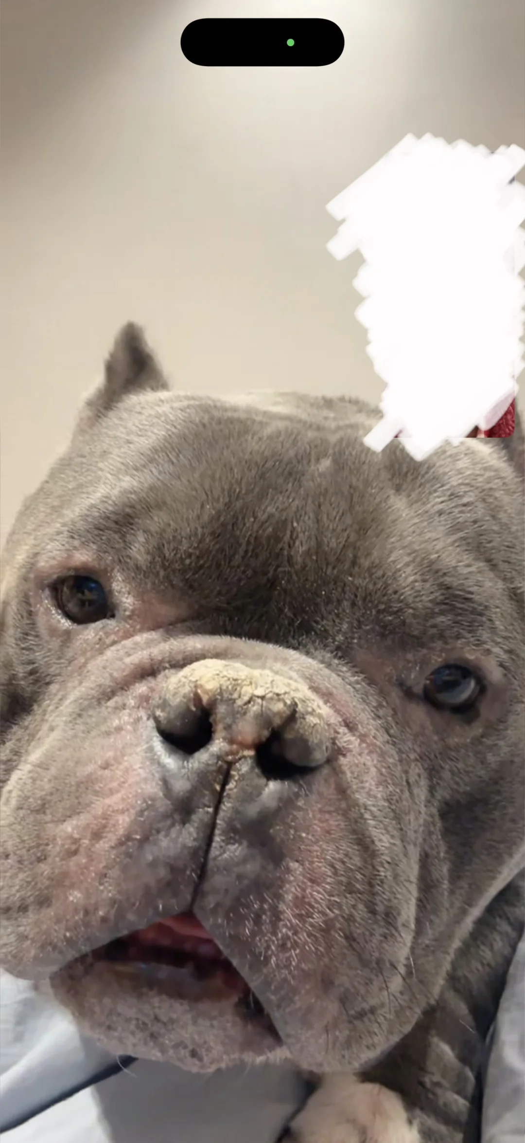 有人要跟俺视频么？