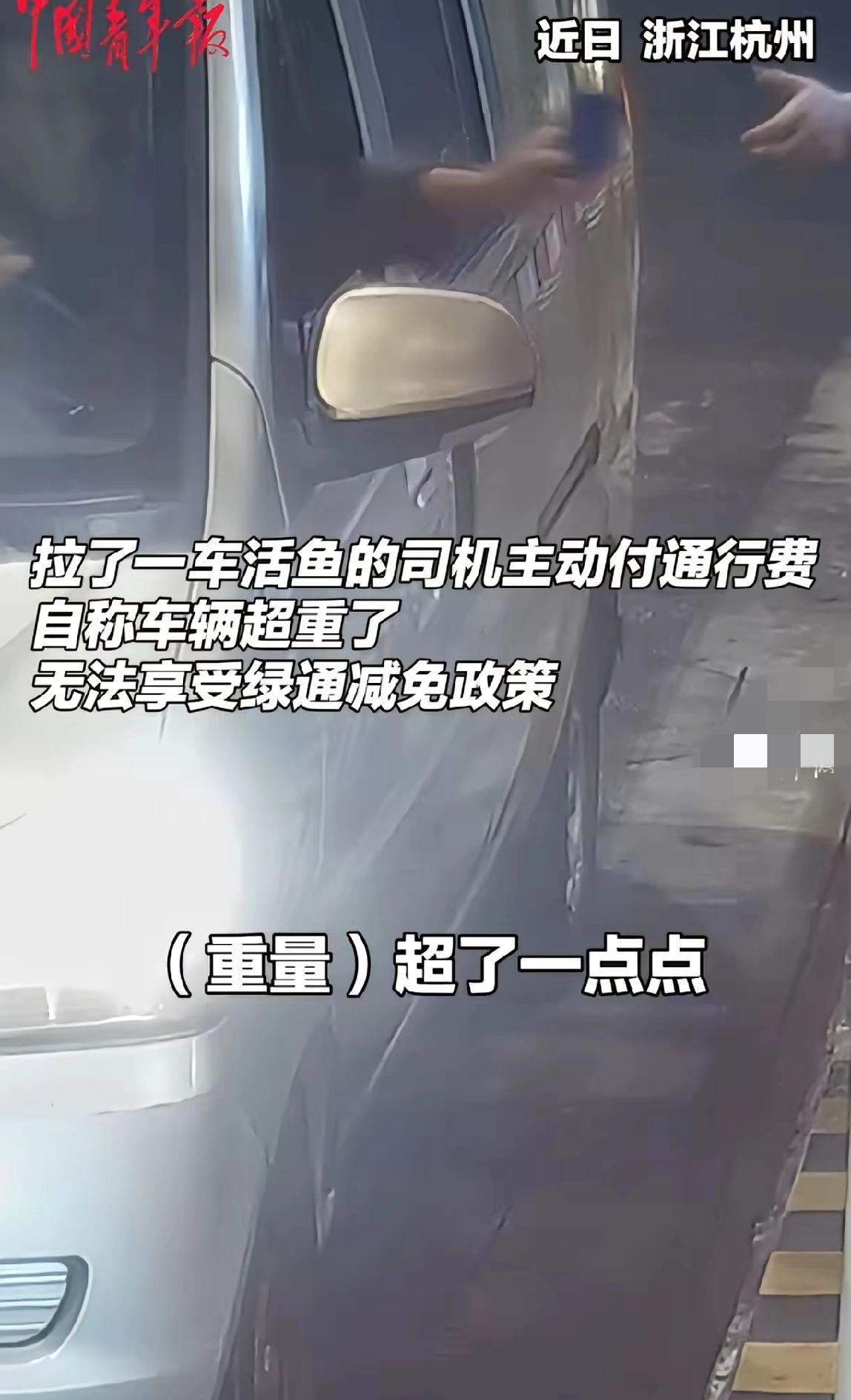 “这个收费员彻底火了！”杭州高速这一幕，看完真觉得心里暖暖的！货车司机拉着活鱼下