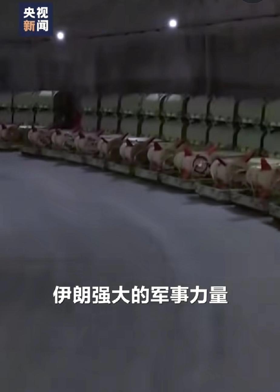 打击伊朗基本实锤！美国通报对伊朗轰炸时间表。这回就看伊朗有没有胆量按俄罗斯给出的