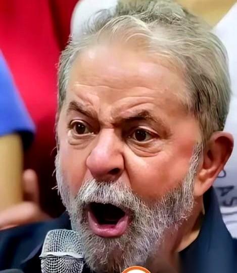 巴西人也动手了。一纸反倾销调查，砸过来。看着吓人，其实就是一巴掌，想把你扇醒。