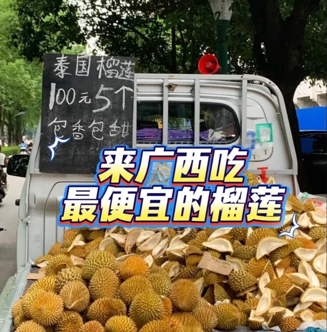终于弄明白了，榴莲今年为什么便宜得跟坐滑梯一样，不是果农突然发善心了，是物流把整