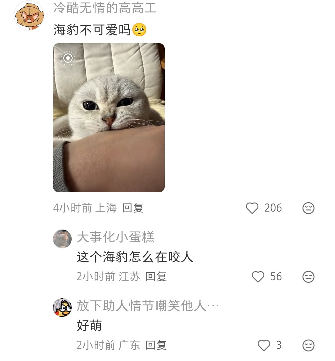 如果小猫没有妙脆角，你们还会爱小猫吗