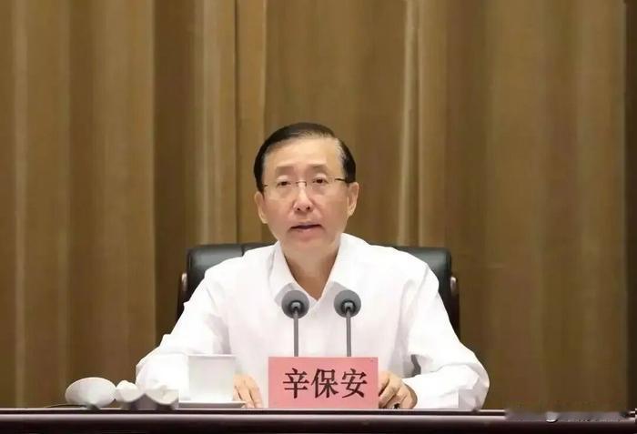 辛保安“退而不休”，权力余温从来不是避风港2024年到龄卸下国家电网董事