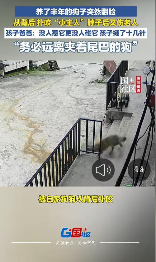 “悲剧还是发生了！”7月21日报道，贵州毕节，一户人家养了半年的狗，走丢了十几天