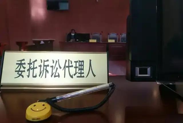 政府允许没有律师资格的人员做诉讼代理人，本来是好事。法律也不是很高深的学问，诉讼