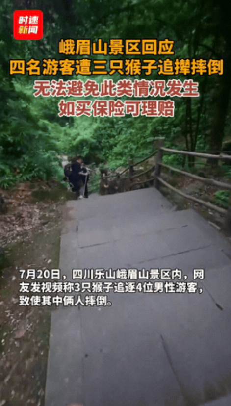 太悲催了！7月20日，四川峨眉山，四个结伴而行的男游客正走着，突然三只野猴从树丛