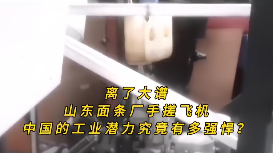 你知道吗？山东面条厂手搓飞机了，8.8万起售，谁都没有想到，在山东邹平的一个面条