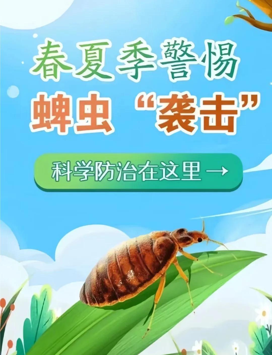 安徽一7旬老人身上，附着17只蜱虫！近日，安徽医科大学第四附属医院收治了73