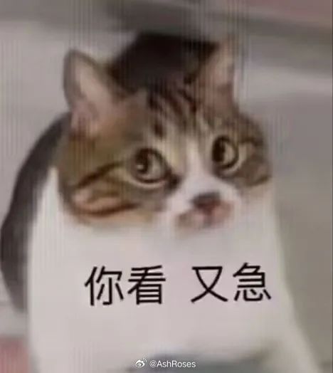光与夜之恋萧逸老公会吃醋。休息日你也起的早了一些，要准备今晚去参加交流会了，