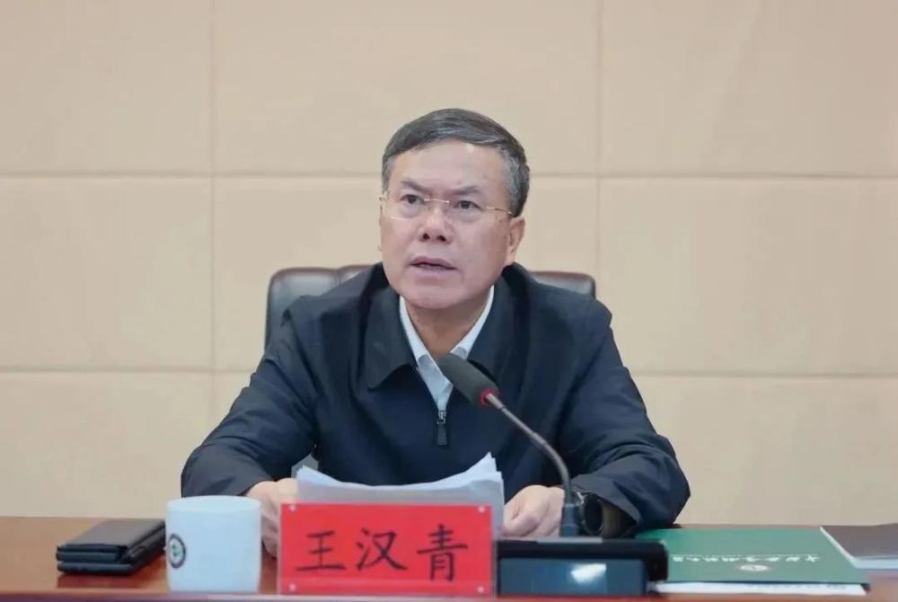 王汉青, 大搞学术腐败, 侵吞科研经费, 数额巨大