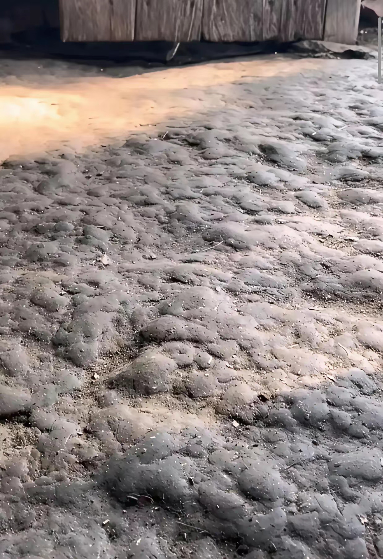 这种泥巴地有多少人小时候经历过？