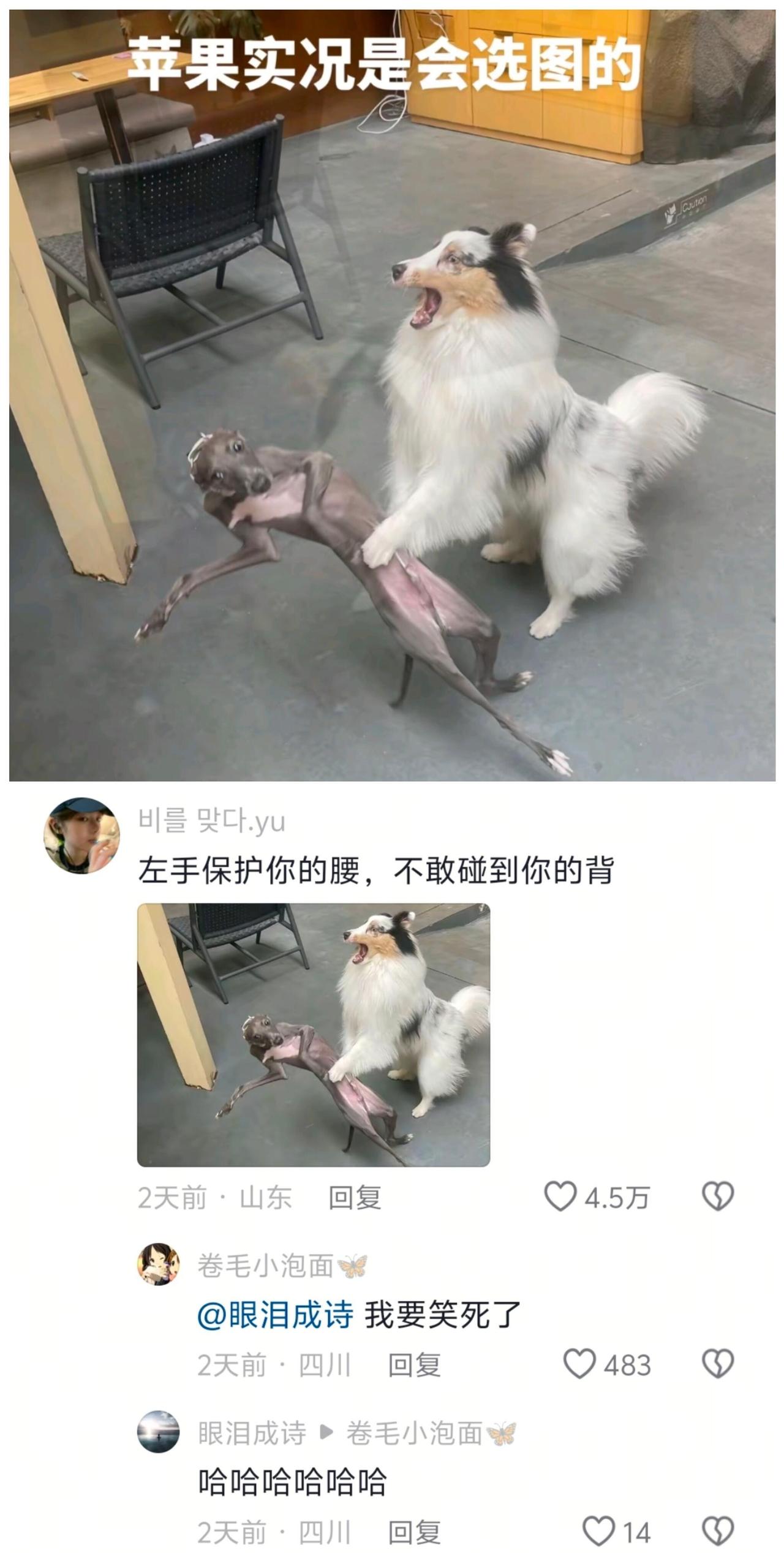 脑洞这块还得是网友😂​​​