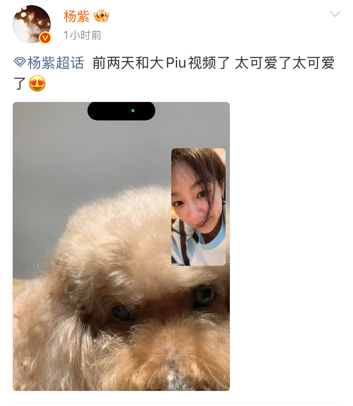 啊杨紫也空降超话了……紫妹中秋营业前两天还和piupiu视频了……🤩​​