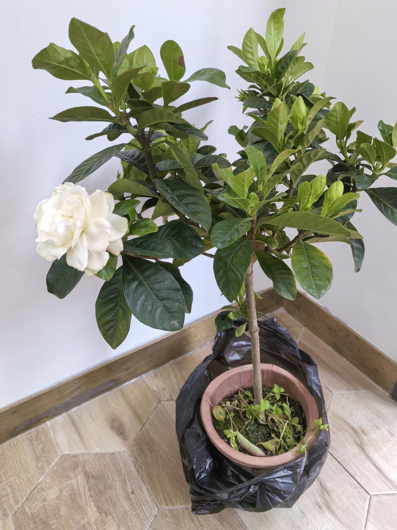 今天一个女业主说，她出门在楼梯里碰到一个人神色慌张、急急忙忙地下楼，很是可疑，于