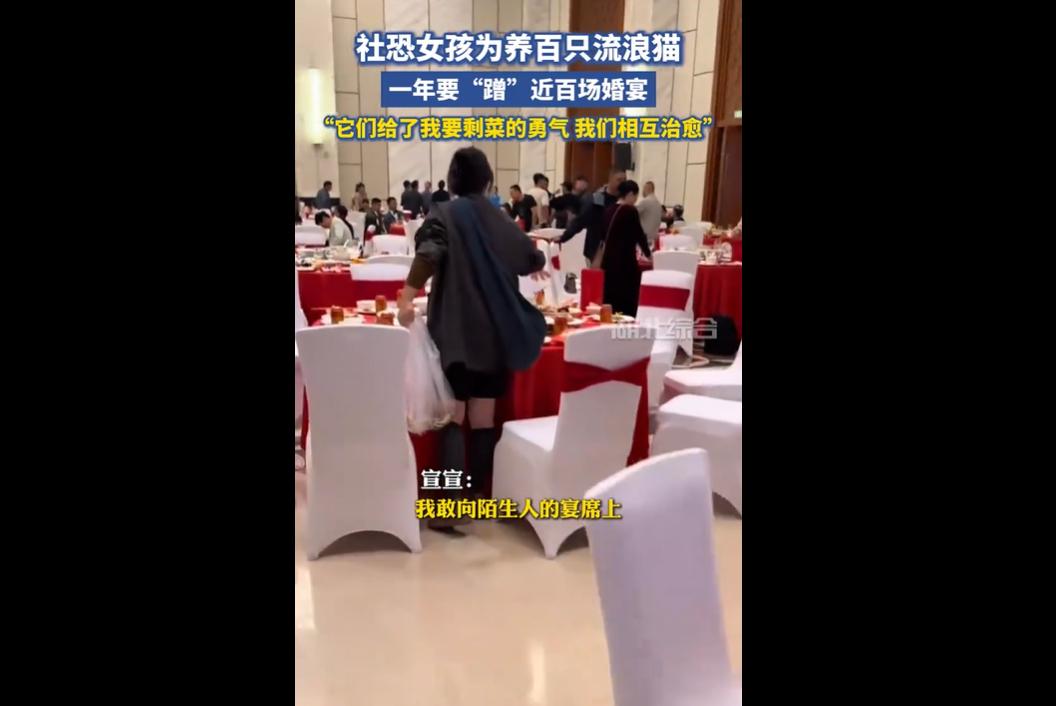 27岁社恐女孩宣宣，为养活100多只流浪猫狗，三年来蹭近百场云南保山乡村婚