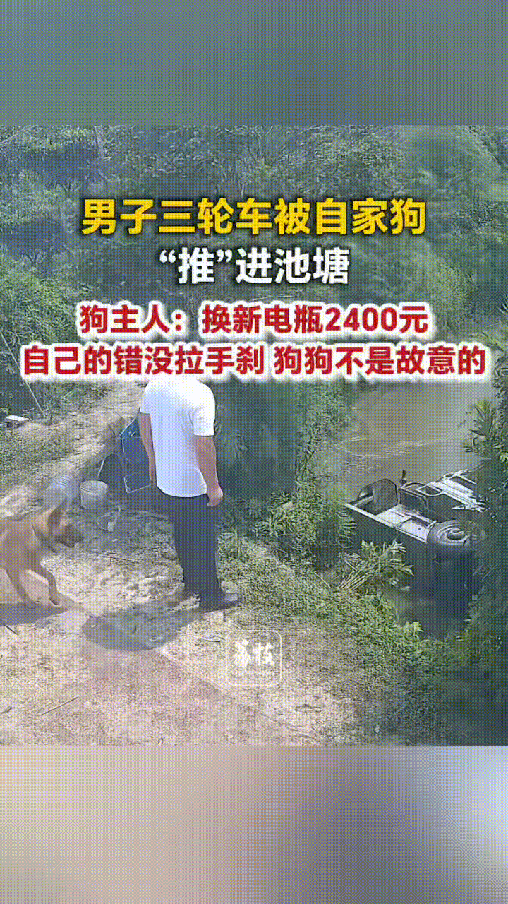 男子把电三轮停到了池塘边，可万万没想到，车上狗狗跳下来后，下一秒电三轮竟然自己向