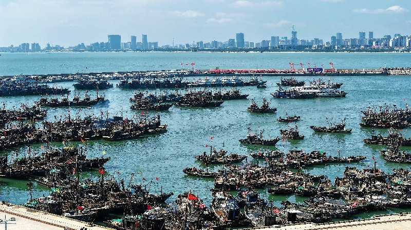 山东日照: 开海扬帆, 向丰收启航