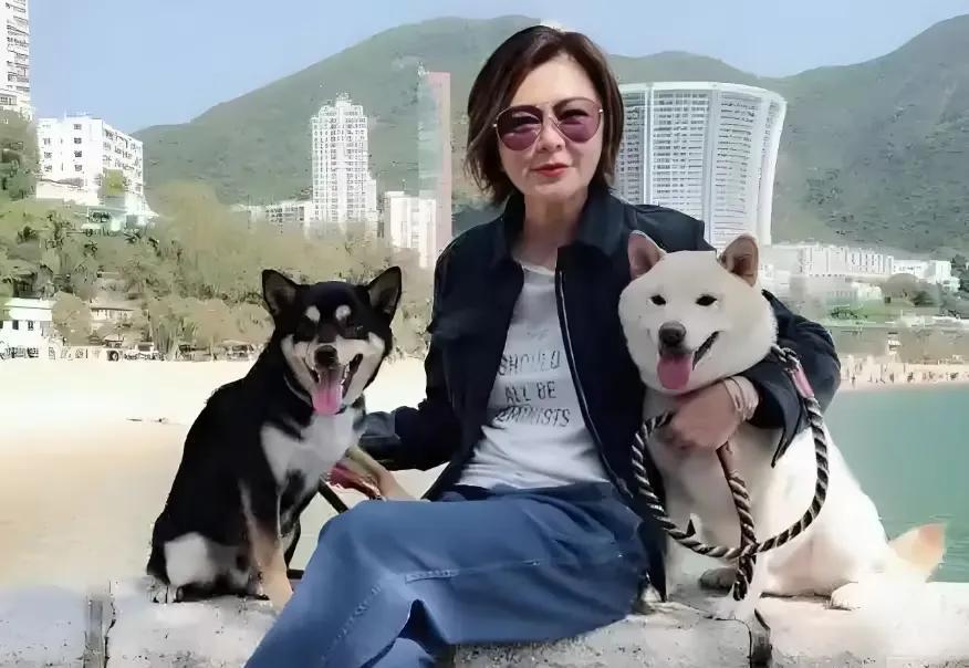 63岁的关之琳最近又因给两只老狗过生日上了热搜。她住在装修花了上亿的香港半山豪宅