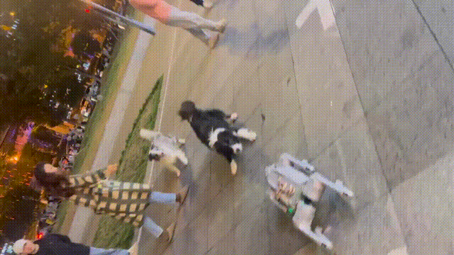 机器狗产生对狗的影响也很大！