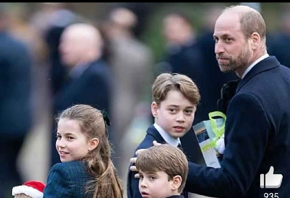 威廉王子的“育儿困境”：禁手机护娃远离数字伤害，却难弥兄弟亲情裂痕导语：身